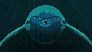 Whale Prophet