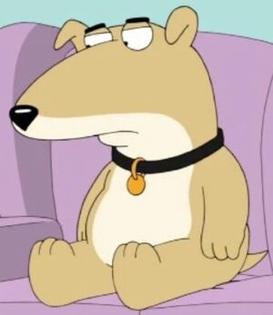 Vinny Griffin