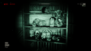Approximately eight heads on another shelf.