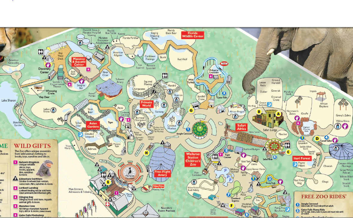 Tampa's Lowry Park Zoo List of Major Zoos in the U.S. Wiki Fandom