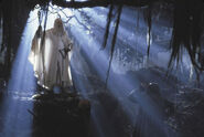 Gandalf (The Lord of the Rings) sacrifices himself and is resurrected in a heavenly light