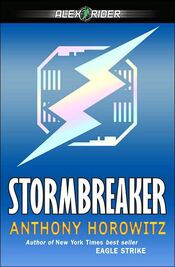 Front cover of an edition of Stormbreaker.