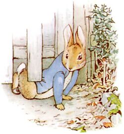  Beatrix Potter Tale of Peter Rabbit Mrs Rabbit British