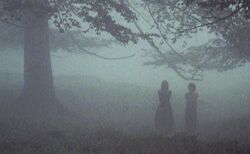 Lost Hearts