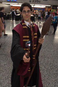 HarryPotterMontrealComiccon2016