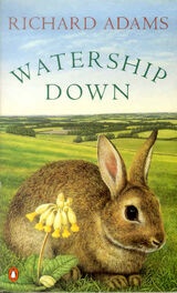 Watership-down1