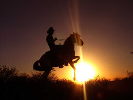 Cowboy-and-horse-in-2-legs