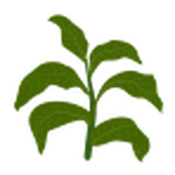 tobacco little alchemy Tobacco | Little Alchemy Wiki