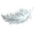 Feather