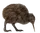 Kiwi (bird)
