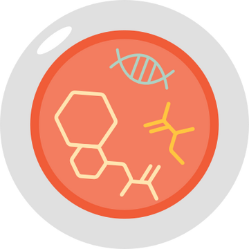 Primordial soup, Little Alchemy Wiki