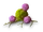 Cancer (disease)