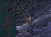 Cub, lost in storm (The Little Bear Movie)