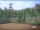 The Gardens