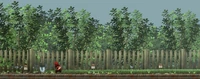 The background of The Gardens