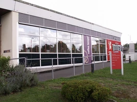 800px-Oxford Peartree