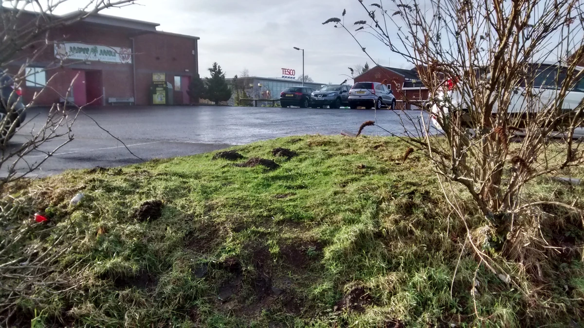 Galston Little Chef Wiki Fandom