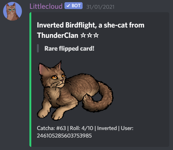 Warriors Trading Card Game Update (Info in comments) : r/WarriorCats