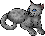 Ashfur (TC), Warriors Wiki