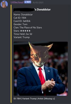 Add CuteCat Discord Bot  The #1 Discord Bot List