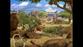 Australian Rocks and Trees