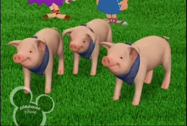 ミ コダック ナッシー ゴーリキー 3枚 Minky | RareWiki | Fandom