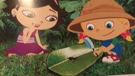 Book (Australian Adventure)