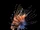 Scorpion Fish