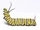 Caterpillar/Butterfly