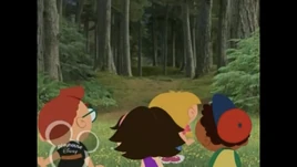 Forest in Switzerland