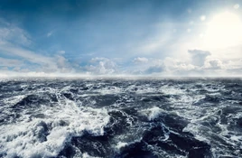 The Ocean