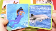 Learning Library Dolphins.png (3.8 MB)