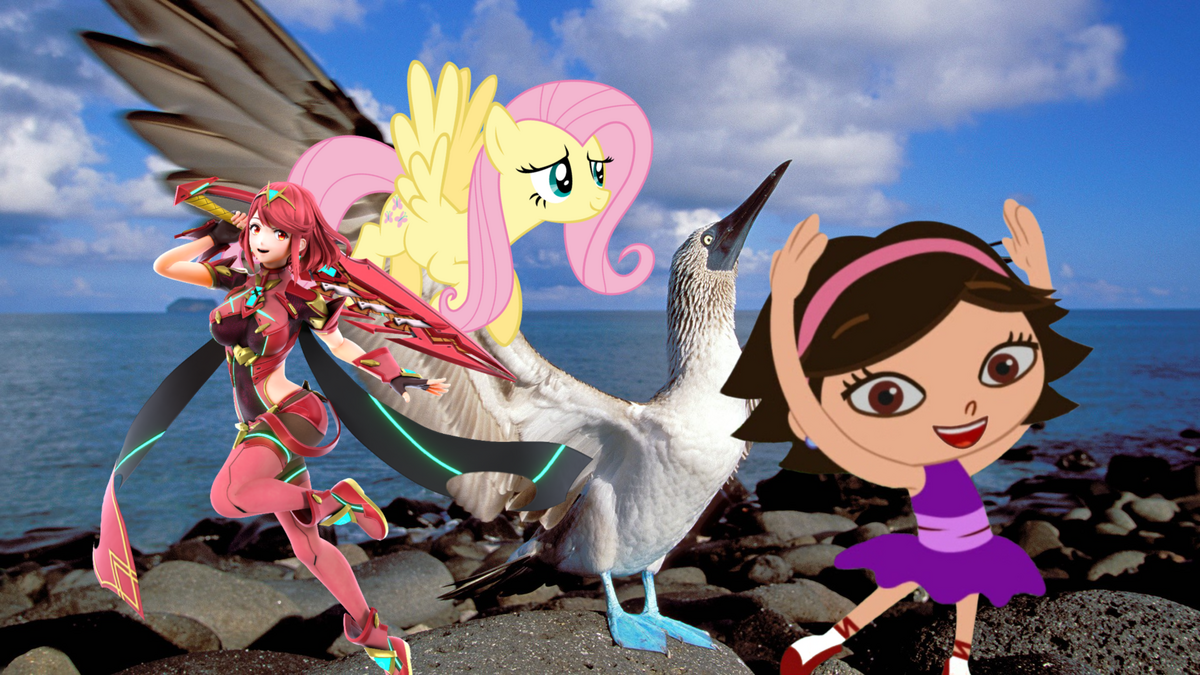 The BlueFooted Booby Bird Ballet/Transcript Little Einsteins Wiki