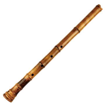 Shakuhachi | Little Einsteins Wiki | Fandom