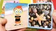 Learning Library Starfish.png (4.01 MB)