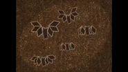 Navajo Woven Bats