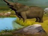 Baby Elephant (Animal Snack Time)