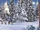 The Northern Night Light/Transcript