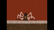 Navajo Woven Spiders