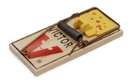 Mouse Trap