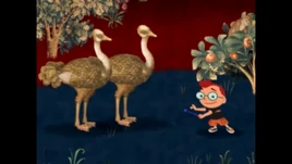 Leo conducting the ostriches