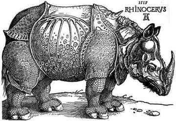 Rhino Rhino Horn Næsehorn Junior 1stk