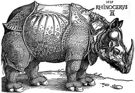 https://static.wikia.nocookie.net/littleeinsteinspedia/images/f/f5/Woodcut_of_Rhinoceros.jpeg/revision/latest?cb=20210217003017