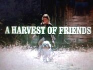 Title.harvest of friends2