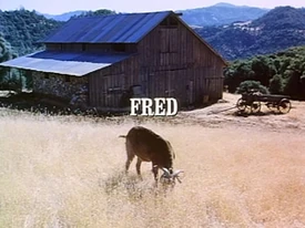 写真Little House On The Prairie 1,758 Little House On The Prairie Television Series Stock