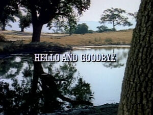 Title.helloandgoodbye.jpg