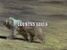Watch Country Girls