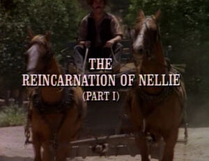 Title.reincarnationofnellie1.jpg