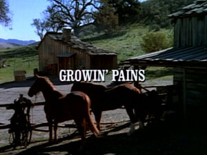 Title.growingpains.jpg