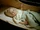 Adam Kendall Jr.